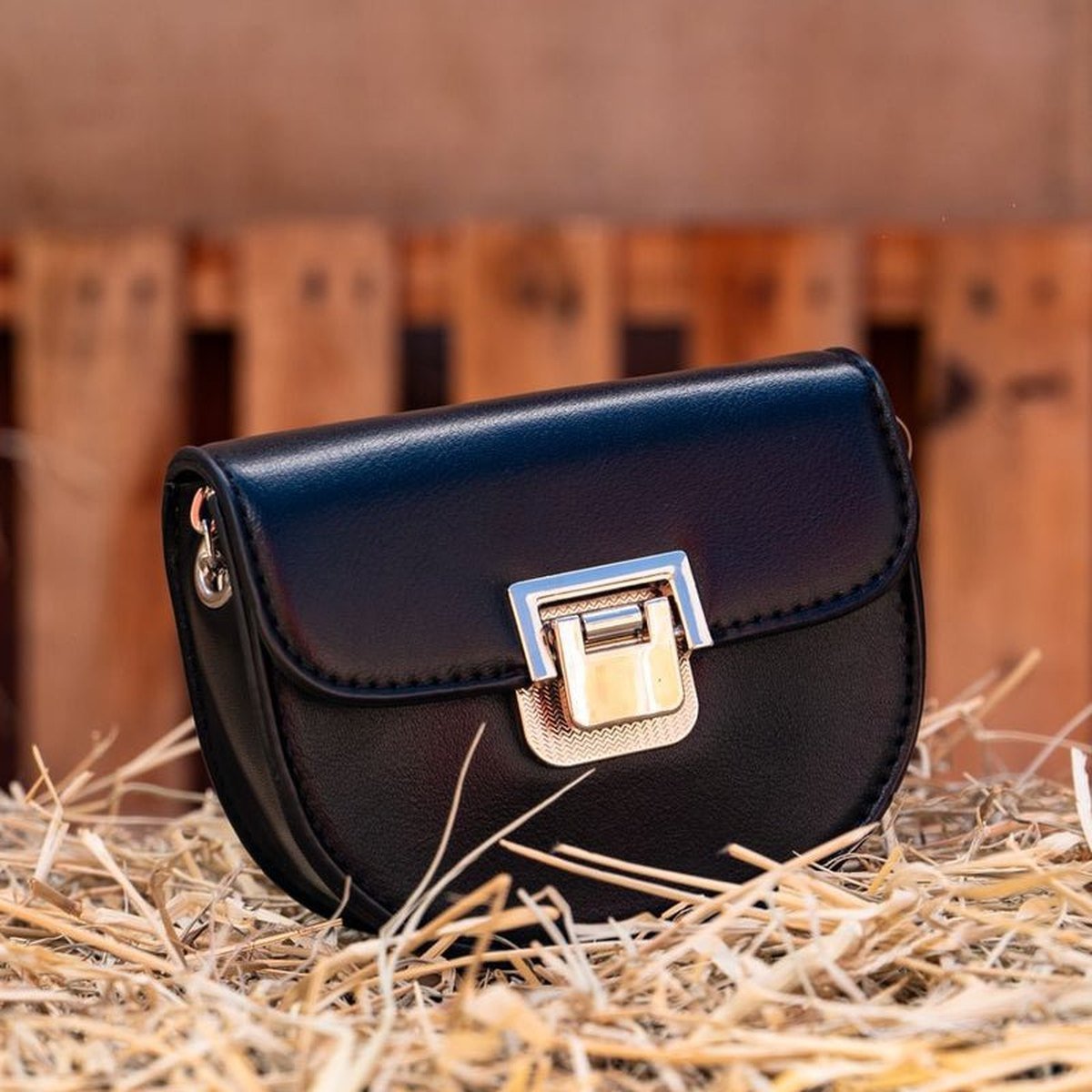 Mini Crossbody Bag - Image 2